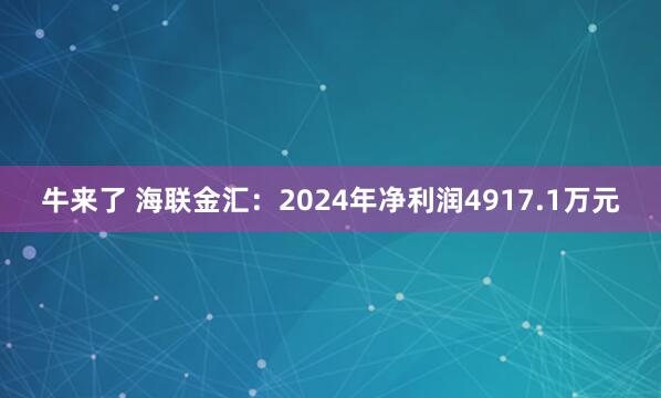 牛来了 海联金汇：2024年净利润4917.1万元